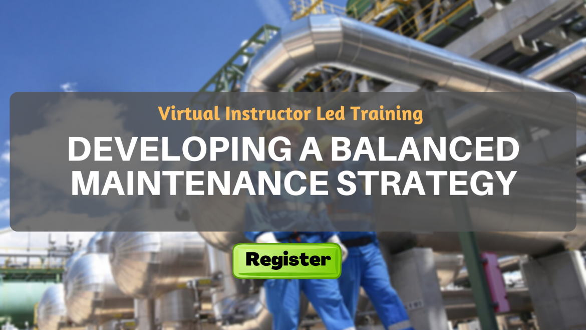 Developing a Balanced Maintenance Strategy (VILT)