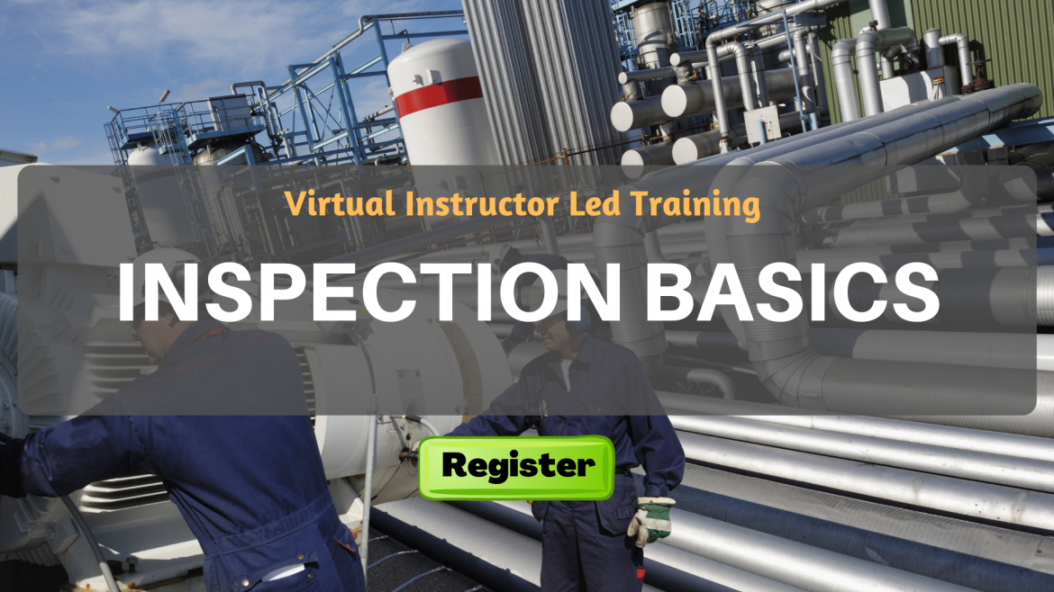 Inspection Basics (VILT)